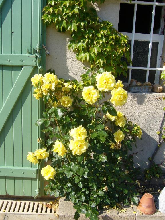 Chambres D'Hotes Le Mas Aire-sur-lʼAdour Exterior foto